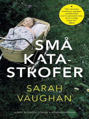 cover image of Små katastrofer